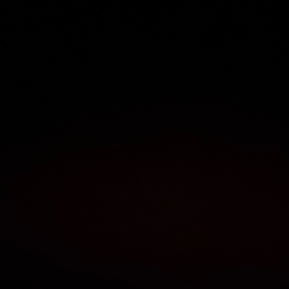 Meet your Posher, Will - Picture 1 of 1